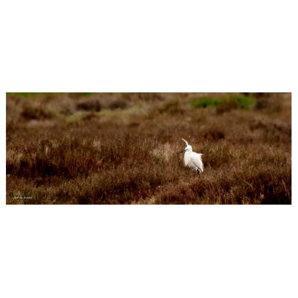 PHOTO84, CLUB, 84 , LUBERON